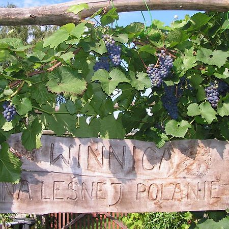 Winnica Na Lesnej Polanie Zabor Bagian luar foto