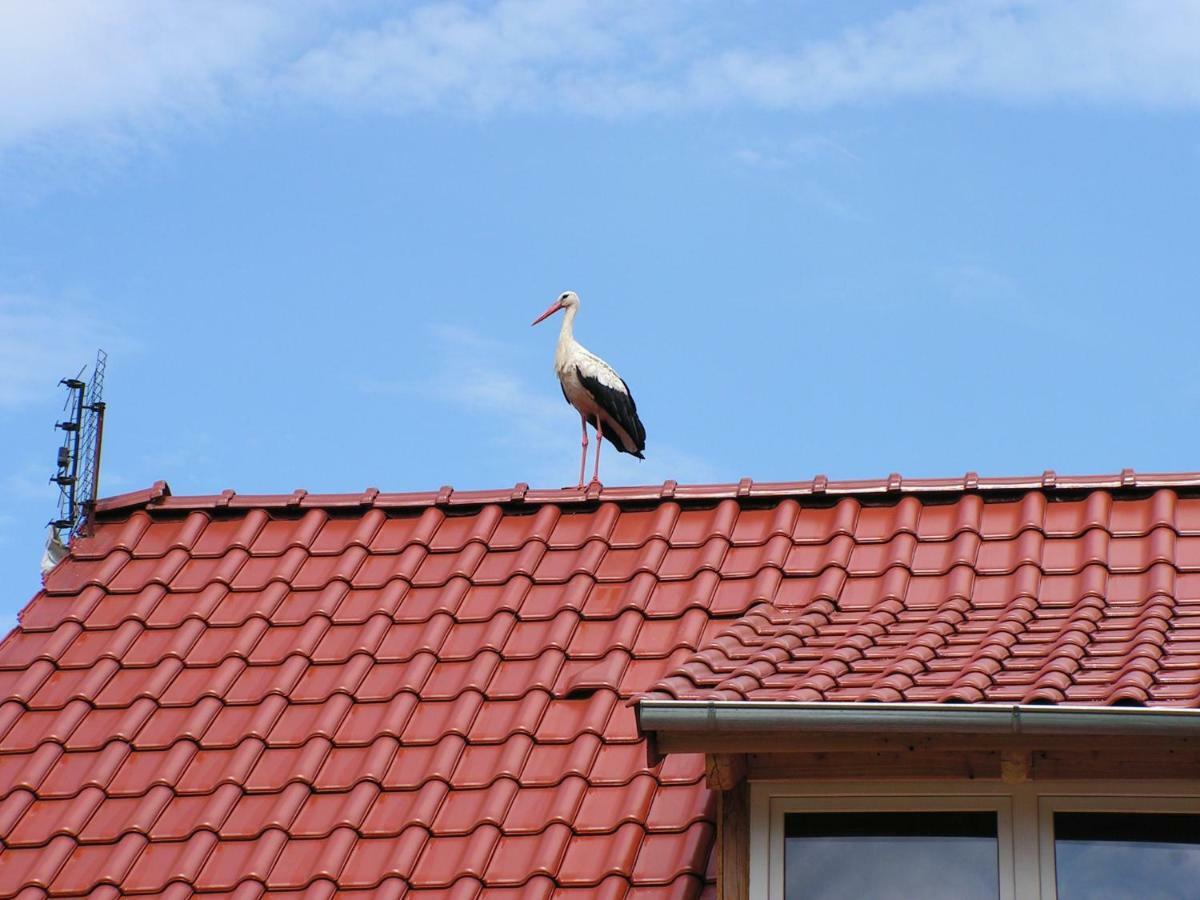 Winnica Na Lesnej Polanie Zabor Bagian luar foto